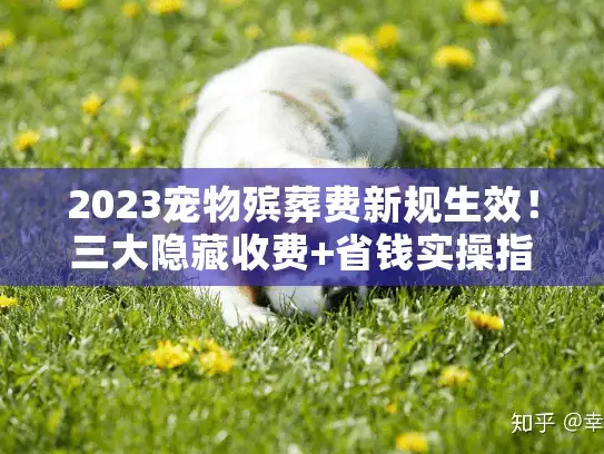 2023宠物殡葬费新规生效！三大隐藏收费+省钱实操指南