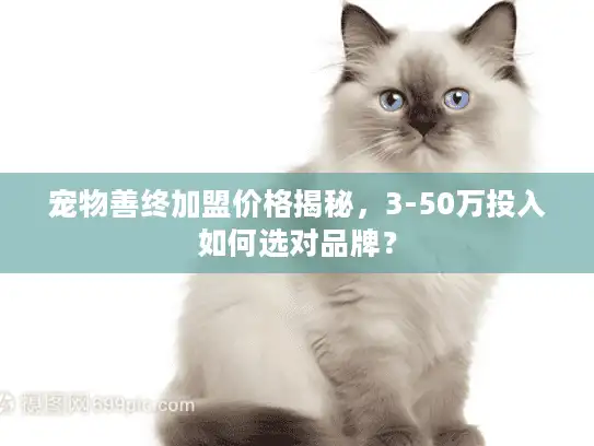 宠物善终加盟价格揭秘，3-50万投入如何选对品牌？
