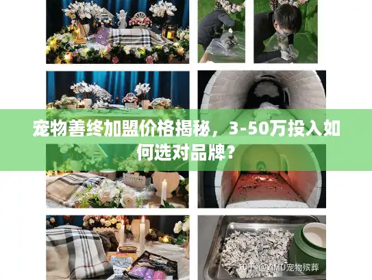 宠物善终加盟价格揭秘，3-50万投入如何选对品牌？