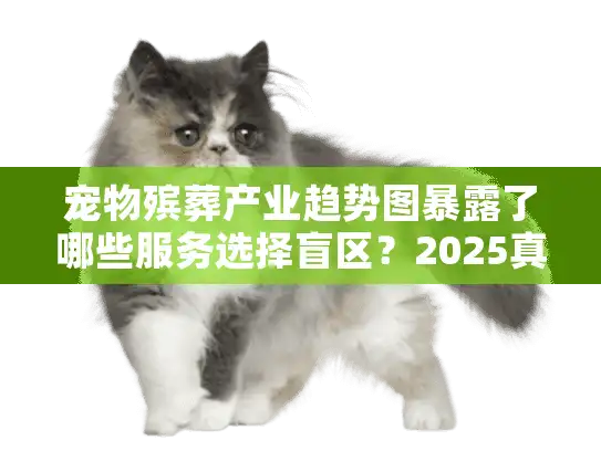 宠物殡葬产业趋势图暴露了哪些服务选择盲区？2025真实避坑手册