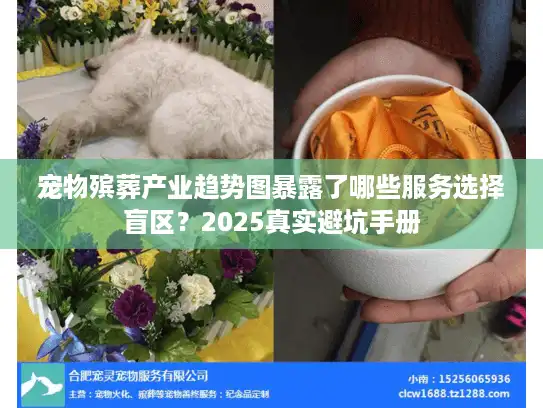 宠物殡葬产业趋势图暴露了哪些服务选择盲区？2025真实避坑手册