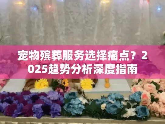 宠物殡葬服务选择痛点？2025趋势分析深度指南