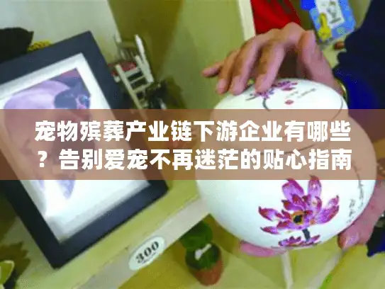 宠物殡葬产业链下游企业有哪些？告别爱宠不再迷茫的贴心指南