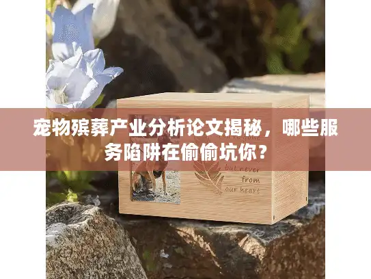 宠物殡葬产业分析论文揭秘，哪些服务陷阱在偷偷坑你？