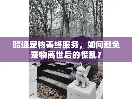 昭通宠物善终服务，如何避免宠物离世后的慌乱？