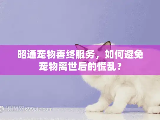 昭通宠物善终服务，如何避免宠物离世后的慌乱？