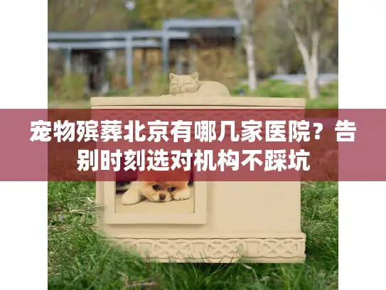 宠物殡葬北京有哪几家医院？告别时刻选对机构不踩坑