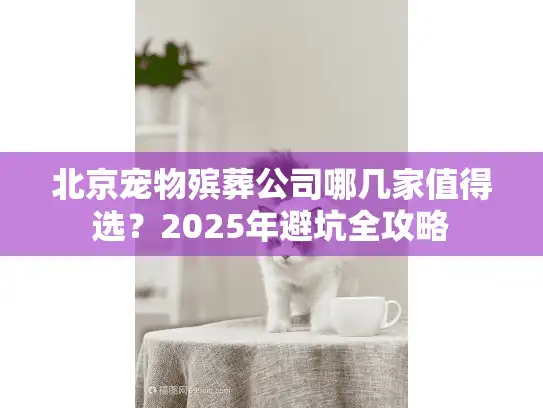北京宠物殡葬公司哪几家值得选？2025年避坑全攻略