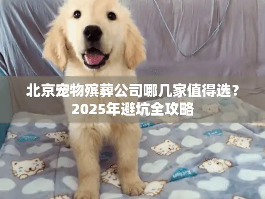 北京宠物殡葬公司哪几家值得选？2025年避坑全攻略