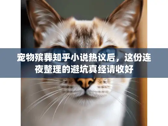 宠物殡葬知乎小说热议后，这份连夜整理的避坑真经请收好