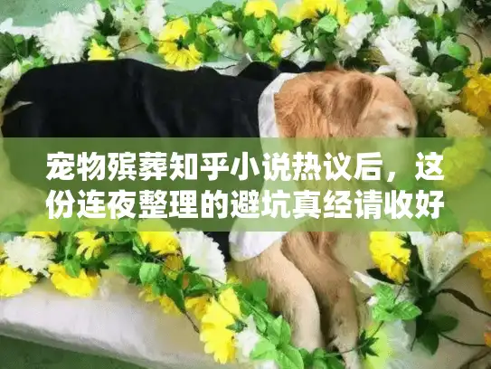 宠物殡葬知乎小说热议后，这份连夜整理的避坑真经请收好