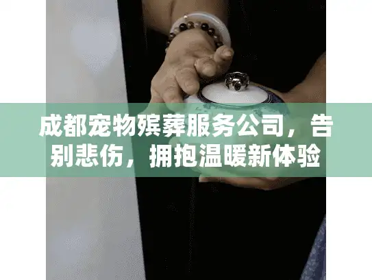 成都宠物殡葬服务公司，告别悲伤，拥抱温暖新体验