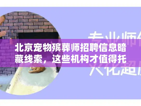 北京宠物殡葬师招聘信息暗藏线索，这些机构才值得托付