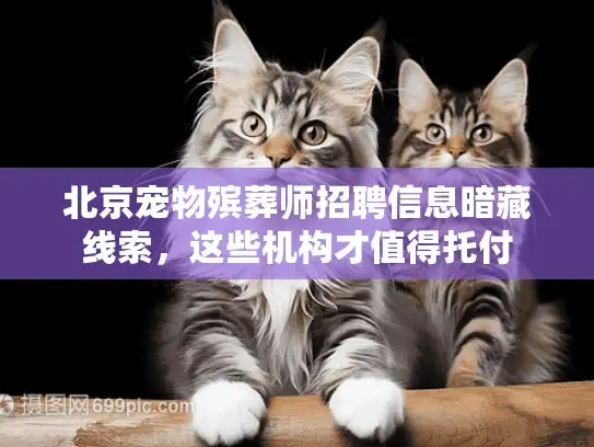 北京宠物殡葬师招聘信息暗藏线索，这些机构才值得托付