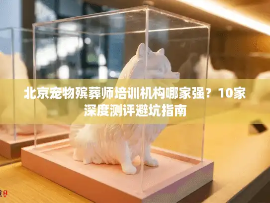 北京宠物殡葬师培训机构哪家强？10家深度测评避坑指南