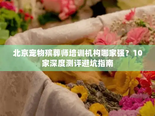 北京宠物殡葬师培训机构哪家强？10家深度测评避坑指南