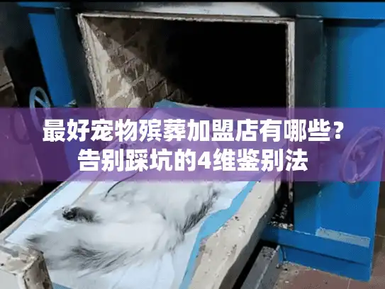 最好宠物殡葬加盟店有哪些？告别踩坑的4维鉴别法