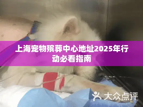 上海宠物殡葬中心地址2025年行动必看指南