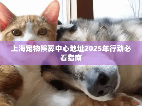 上海宠物殡葬中心地址2025年行动必看指南
