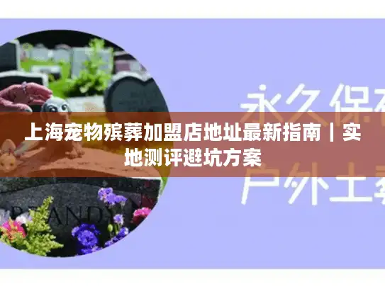 上海宠物殡葬加盟店地址最新指南｜实地测评避坑方案