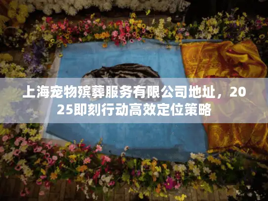 上海宠物殡葬服务有限公司地址，2025即刻行动高效定位策略