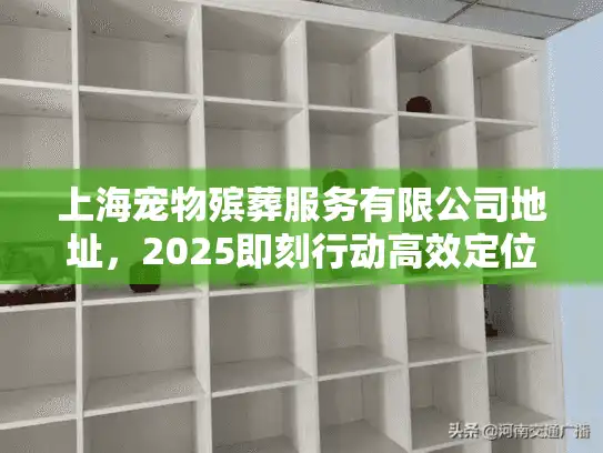 上海宠物殡葬服务有限公司地址，2025即刻行动高效定位策略