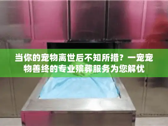 当你的宠物离世后不知所措？一宠宠物善终的专业殡葬服务为您解忧
