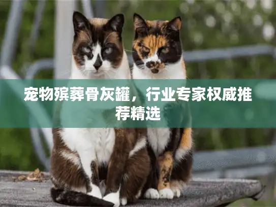宠物殡葬骨灰罐，行业专家权威推荐精选