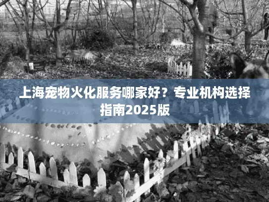 上海宠物火化服务哪家好？专业机构选择指南2025版