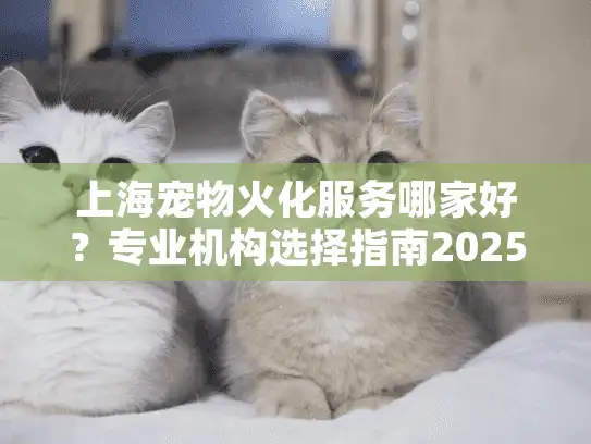 上海宠物火化服务哪家好？专业机构选择指南2025版