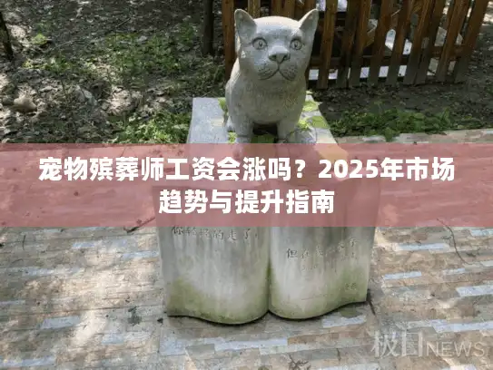 宠物殡葬师工资会涨吗？2025年市场趋势与提升指南