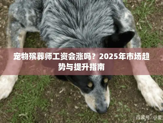 宠物殡葬师工资会涨吗？2025年市场趋势与提升指南