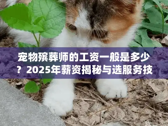 宠物殡葬师的工资一般是多少？2025年薪资揭秘与选服务技巧