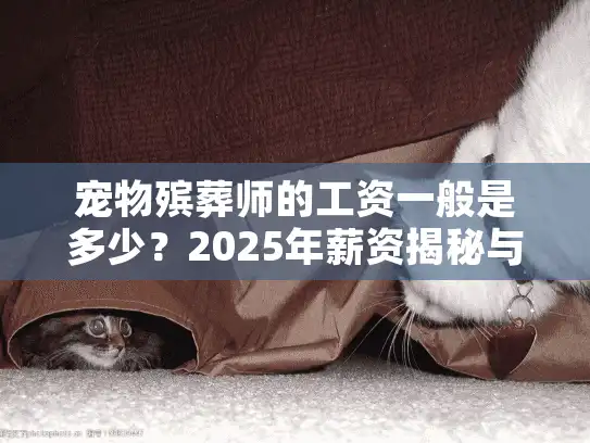 宠物殡葬师的工资一般是多少？2025年薪资揭秘与选服务技巧