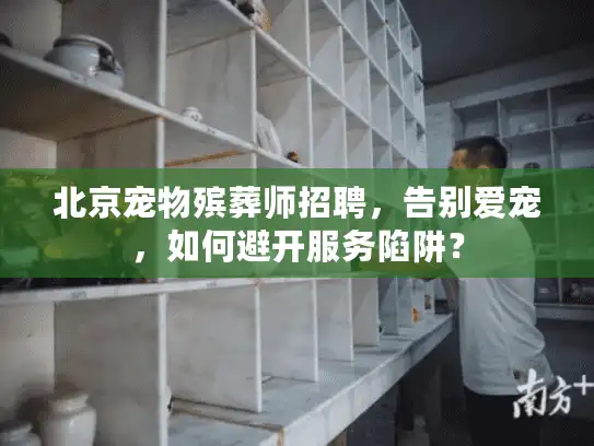 北京宠物殡葬师招聘，告别爱宠，如何避开服务陷阱？