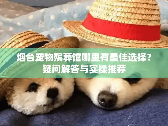 烟台宠物殡葬馆哪里有最佳选择？疑问解答与实操推荐
