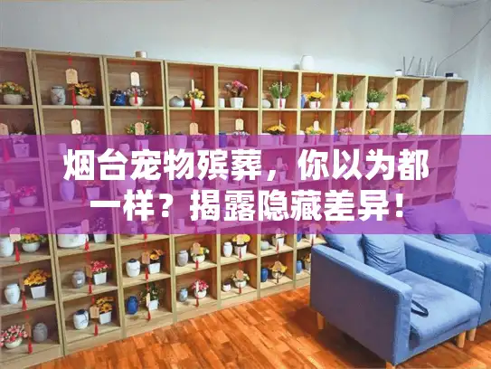 烟台宠物殡葬，你以为都一样？揭露隐藏差异！