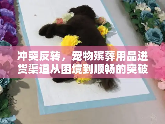 冲突反转，宠物殡葬用品进货渠道从困境到顺畅的突破路径
