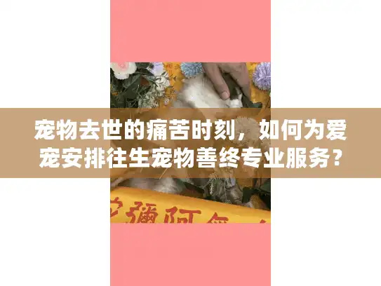宠物去世的痛苦时刻，如何为爱宠安排往生宠物善终专业服务？
