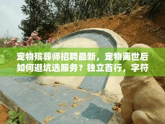 宠物殡葬师招聘最新，宠物离世后如何避坑选服务？独立首行，字符数56以内，核心关键词前置，长尾词融入）