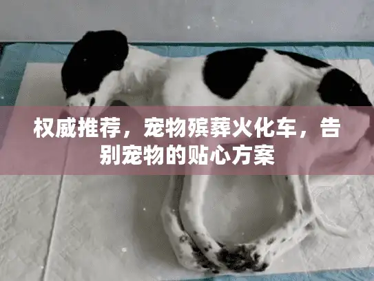 权威推荐，宠物殡葬火化车，告别宠物的贴心方案