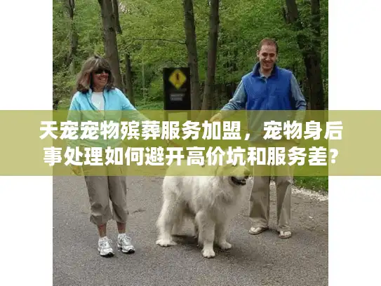 天宠宠物殡葬服务加盟，宠物身后事处理如何避开高价坑和服务差？