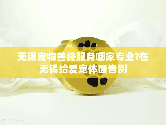 无锡宠物善终服务哪家专业?在无锡给爱宠体面告别