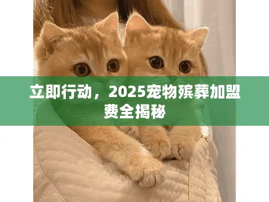 立即行动，2025宠物殡葬加盟费全揭秘