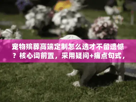 宠物殡葬高端定制怎么选才不留遗憾？核心词前置，采用疑问+痛点句式，46字符）