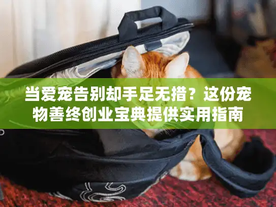 当爱宠告别却手足无措？这份宠物善终创业宝典提供实用指南