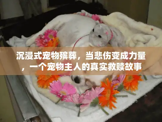 沉浸式宠物殡葬，当悲伤变成力量，一个宠物主人的真实救赎故事