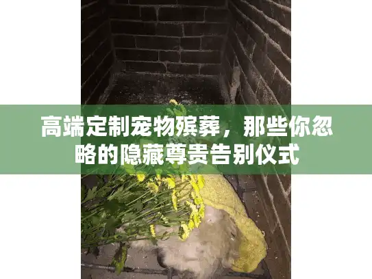 高端定制宠物殡葬，那些你忽略的隐藏尊贵告别仪式