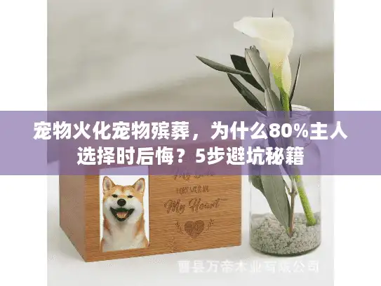 宠物火化宠物殡葬，为什么80%主人选择时后悔？5步避坑秘籍