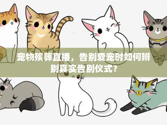 宠物殡葬直播，告别爱宠时如何辨别真实告别仪式？